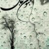 رمان جنون عاشقی