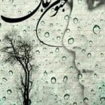 رمان جنون عاشقی