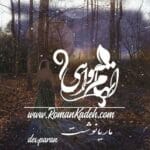 دانلود رمان اتهام واهی