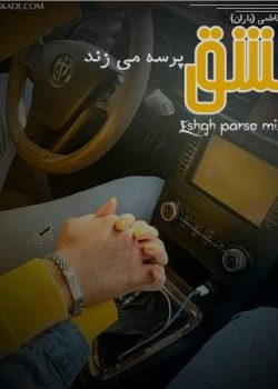 دانلود رمان عشق پرسه می‌زند