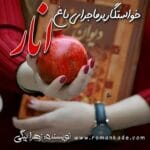 دانلود رمان خواستگار پرماجرای باغ انار