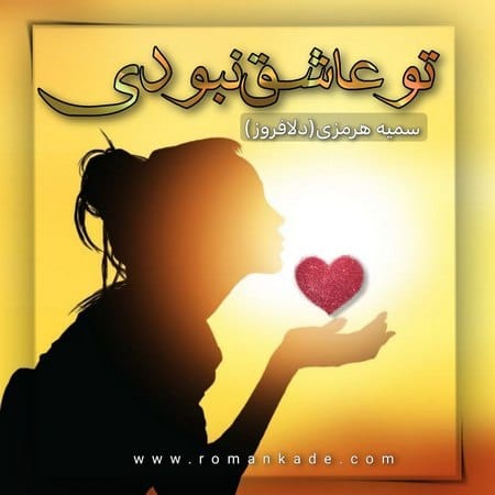 دانلود رمان تو عاشق نبودی