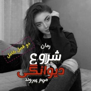 رمان شروع دیوانگی هر 2جلد اثر مریم پیروند  | دانلود  | کتاب خوان