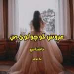 رمان عروس کوچولوی من | داستانی عاشقانه و فانتزی با جذابیتهای خاص