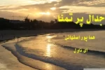 دانلود رمان جدال پر تمنا PDF
