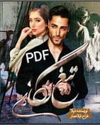 0x176 دانلود رمان تیغ نگاه از نیلا محمدی | داستانی عاشقانه و انتقامی