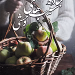 معرفی رمان جاده سیب‌های وحشی (جلد اول) – اثر فرزانه صفایی فرد