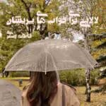 دانلود رمان لالایی برای خواب های پریشان pdf اثر فاطمه اصغری