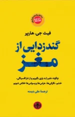 دانلود و معرفی کتاب گندزدایی از مغز | فیث جی. هارپر | راهنمای سلامت ذهنی