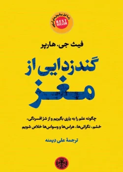 دانلود و معرفی کتاب گندزدایی از مغز | فیث جی. هارپر | راهنمای سلامت ذهنی