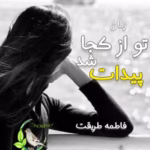 معرفی رمان: تو از کجا پیدات شد – داستانی عاشقانه و پرهیجان