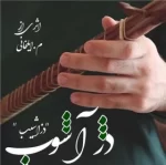 دانلود رمان دژآشوب pdf