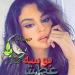 دانلود رمان عطش بوسه | نوشته فاطمه خمیسی (رمان عاشقانه احساسی)