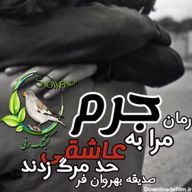 280x280 (9) معرفی رمان: مرا به جرم عاشقی حد مرگ زدند – داستانی عاشقانه، احساسی و اجتماعی
