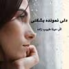دانلود رمان دلی نمونده بشکنی pdf