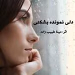 دانلود رمان دلی نمونده بشکنی pdf