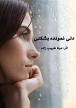 دانلود رمان دلی نمونده بشکنی pdf
