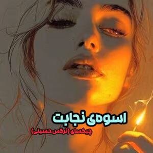 رمان اسوه نجابت  | جلد دوم پرواز را به خاطر بسپار | دانلود  | کتاب خوان