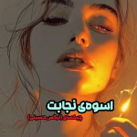 دانلود رمان اسوه نجابت PDF | جلد دوم پرواز را به خاطر بسپار
