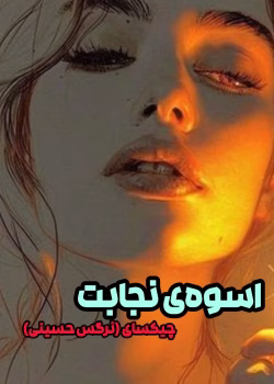 دانلود رمان اسوه نجابت PDF | جلد دوم پرواز را به خاطر بسپار