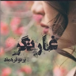 دانلود رمان غارتگر جلد2 pdf اثر پرتو فرهمند