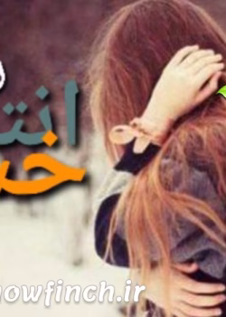 دانلود رمان انتقام خشن | رمانی عاشقانه و انتقامی از Black_Thunder