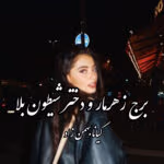 دانلود رمان برج زهرمار و دختر شیطون بلا (PDF) – جلد۱و۲ از کیانا بهمن‌زاد