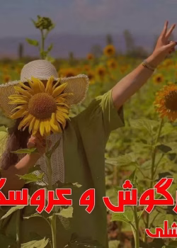 دانلود رمان خرگوش و عروسک pdf اثر ساشلی