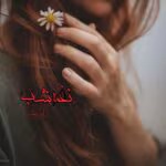 دانلود رمان نغمه شب pdf اثر آرام بنفشه