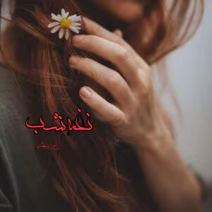 رمان نغمه شب  اثر آرام بنفشه | دانلود  | کتاب خوان