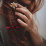 دانلود رمان نغمه شب pdf اثر آرام بنفشه