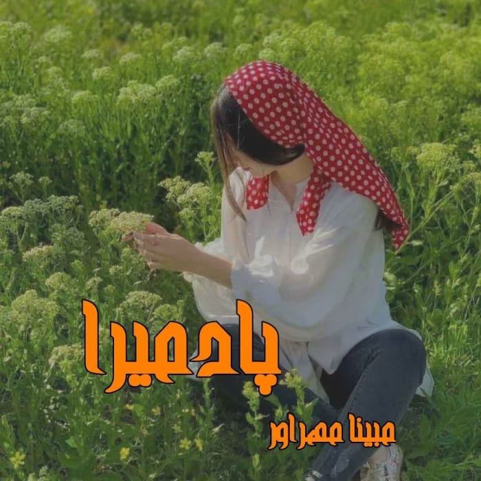 دانلود رمان پادمیرا pdf اثر مبینا مهراور