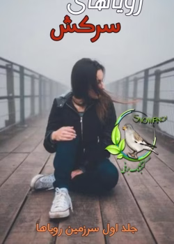 دانلود رمان رویاهای سرکش | عاشقانه تخیلی از کریستین اشلی