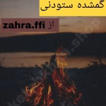 دانلود رمان گمشده ستودنی PDF