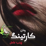 دانلود رمان کارتینگ | یک عاشقانه هیجانی از زینب عامل