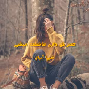 صبر کن دارم عاشقت میشم نویسنده :شیما آبیان ژانر :عاشقانه ،هیجانی | دانلود  | کتاب خوان