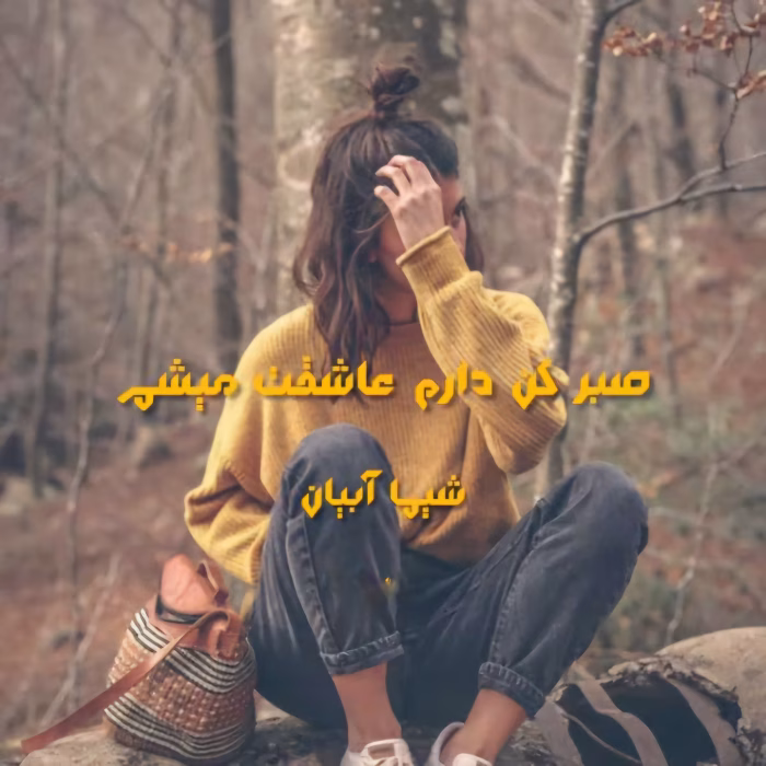 رمان صبر کن دارم عاشقت میشم نویسنده :شیما آبیان ژانر :عاشقانه ،هیجانی