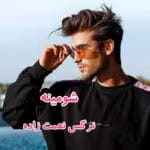 دانلود رمان شومینه pdf اثر نرگس نعمت زاده