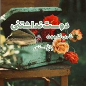 رمان دوست نداشتنی اثر شری گامون | رمانی عاشقانه و احساسی | دانلود  | کتاب خوان