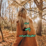 رمان راحیل_عاشقانه ایی پر فراز و نشیب | دانلود  | کتاب خوان