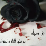 رمان رز سیاه_عاشقانه ایی پلیسی و ترسناک | دانلود  | کتاب خوان