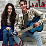 رمان شاه دل_عاشقانه ایی جذاب و خواندنی | دانلود  | کتاب خوان