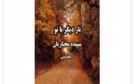 رمان بار دیگر با تو