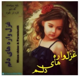 رمان عاشقانه و احساسی غزل واره‌های دلم اثر Moonshine و Parmisa65 | دانلود  | کتاب خوان