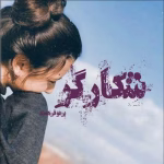 دانلود رمان شکارگر جلد1 pdf اثر پرتو فرهمند