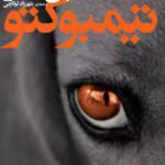 دانلود کتاب تیمبوکتو اثر پل استر | رمانی متفاوت و تأثیرگذار