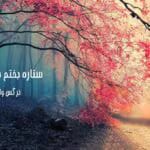 دانلود رمان ستاره بختم سیاه بود pdf اثر نرگس واثق