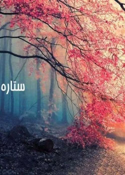 دانلود رمان ستاره بختم سیاه بود pdf اثر نرگس واثق