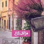 دانلود رمان لبخند نیمه شب | عاشقانه‌ای در دل شب