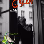 دانلود رمان آموج | یک عاشقانه احساسی از لواشک